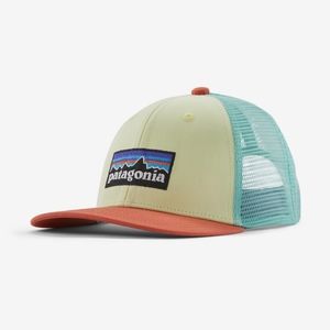 Patagonia Trucker hat